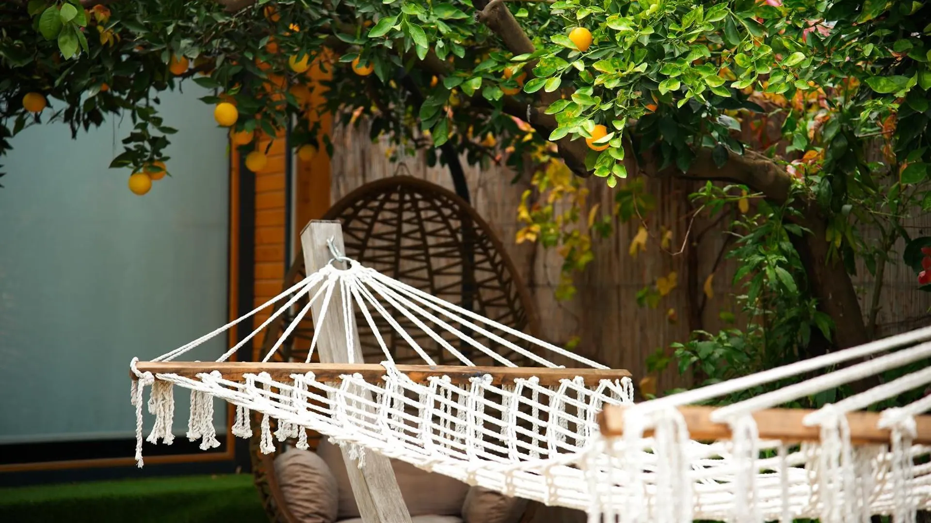 Collesium Garden Aparthotel Antalya